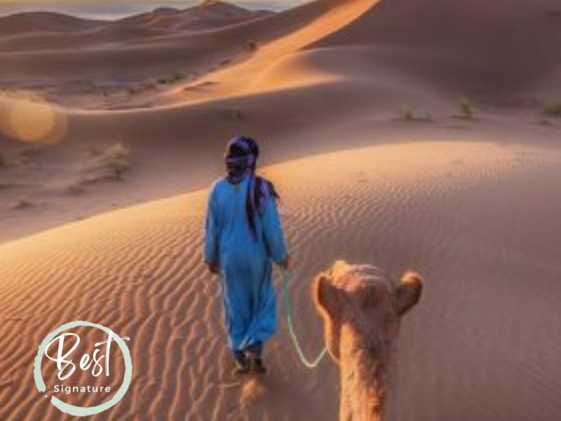 3 Days Desert Tour From Marrakech to Merzouga Dunes - Best Halal Tour