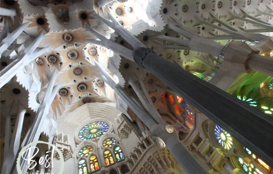 Barcelona: Tiket Laluan Cepat Sagrada Familia