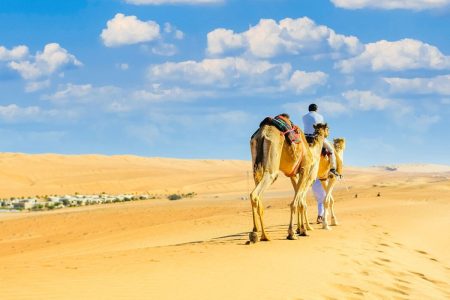 Morocco Halal Tour : 7 days Fez To Marrakech via desert